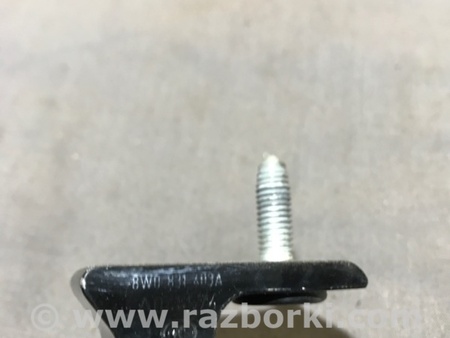 ФОТО Петля двери для Audi (Ауди) A4 V B9 - 8W (2015-) Київ