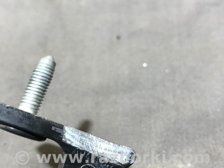ФОТО Петля двери для Audi (Ауди) A4 V B9 - 8W (2015-) Київ