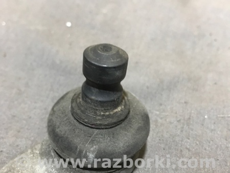 ФОТО Рычаг подвески для Audi (Ауди) A4 V B9 - 8W (2015-) Київ