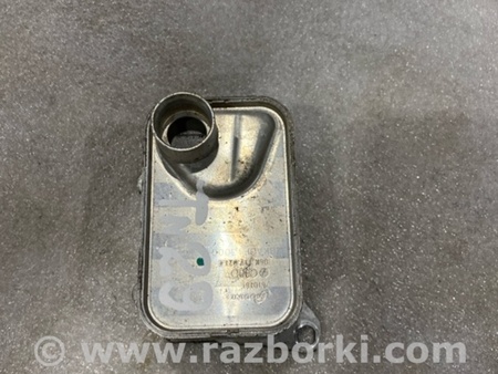 ФОТО Радиатор масляный для Audi (Ауди) A4 V B9 - 8W (2015-) Київ