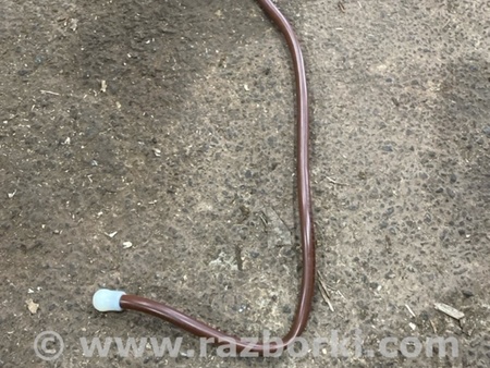 ФОТО Шланг вентиляционный для Audi (Ауди) A4 V B9 - 8W (2015-) Київ