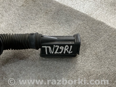 ФОТО Проводка двери для Audi (Ауди) A4 V B9 - 8W (2015-) Київ