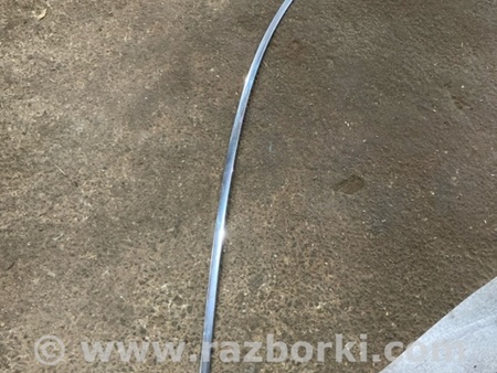 ФОТО Молдинг двери для Audi (Ауди) A4 V B9 - 8W (2015-) Київ