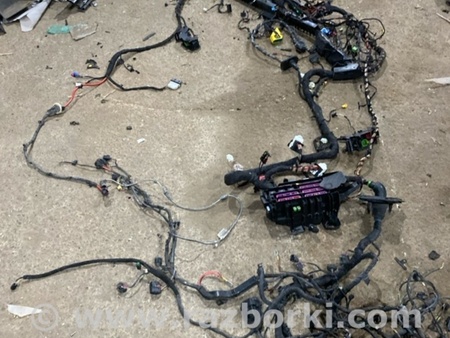 ФОТО Проводка салона для Audi (Ауди) A4 V B9 - 8W (2015-) Київ