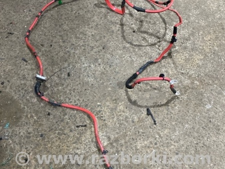 ФОТО Электропроводка для Audi (Ауди) A4 V B9 - 8W (2015-) Київ