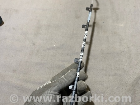 ФОТО Планка подсветки для Audi (Ауди) A4 V B9 - 8W (2015-) Київ