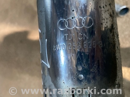 ФОТО Насадка на глушитель для Audi (Ауди) A4 V B9 - 8W (2015-) Київ