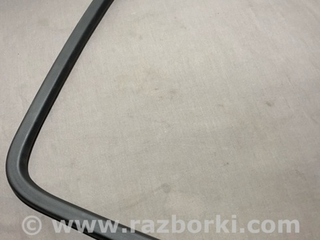 ФОТО Накладка двери для Audi (Ауди) A4 V B9 - 8W (2015-) Київ