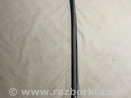 ФОТО Уплотнительная резинка для Audi (Ауди) A4 V B9 - 8W (2015-) Київ