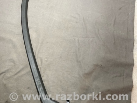 ФОТО Накладка двери для Audi (Ауди) A4 V B9 - 8W (2015-) Київ