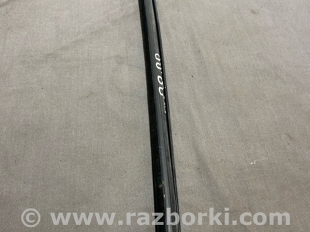 ФОТО Уплотнительная резинка для Audi (Ауди) A4 V B9 - 8W (2015-) Київ