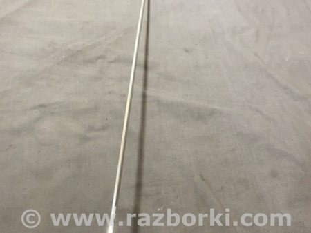 ФОТО Молдинг двери для Audi (Ауди) A4 V B9 - 8W (2015-) Київ