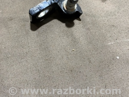 ФОТО Петля двери для Audi (Ауди) A4 V B9 - 8W (2015-) Київ