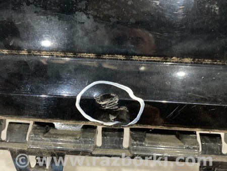 ФОТО Бампер для Audi (Ауди) A4 V B9 - 8W (2015-) Київ