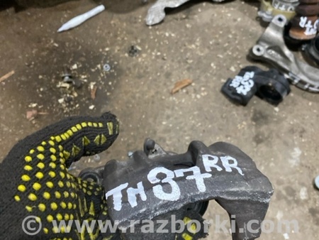 ФОТО Суппорт тормозной для Audi (Ауди) A4 V B9 - 8W (2015-) Київ