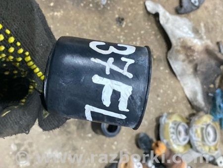 ФОТО Пыльник амортизатора для Audi (Ауди) A4 V B9 - 8W (2015-) Київ