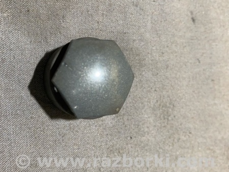 ФОТО Заглушка колесного диска для Audi (Ауди) A4 V B9 - 8W (2015-) Київ