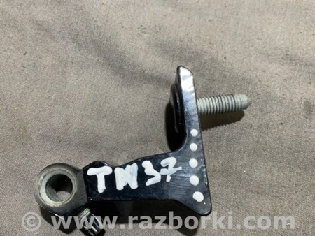 ФОТО Петля двери для Audi (Ауди) A4 V B9 - 8W (2015-) Київ