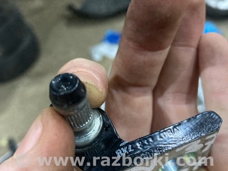 ФОТО Петля двери для Audi (Ауди) A4 V B9 - 8W (2015-) Київ