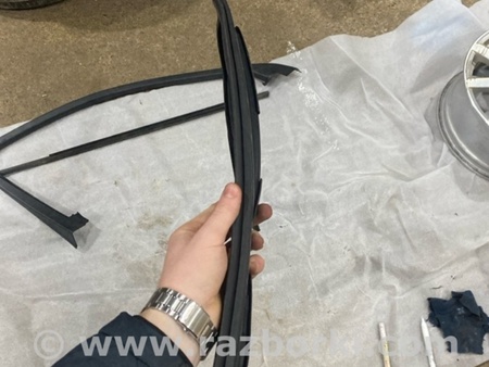 ФОТО Уплотнитель стекла двери для Audi (Ауди) A4 V B9 - 8W (2015-) Київ
