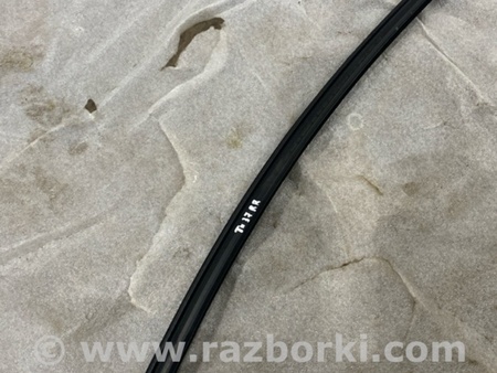 ФОТО Уплотнитель стекла двери для Audi (Ауди) A4 V B9 - 8W (2015-) Київ