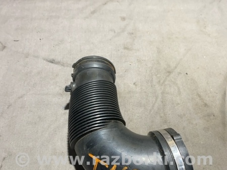 ФОТО Патрубок интеркулера для Audi (Ауди) A4 V B9 - 8W (2015-) Київ