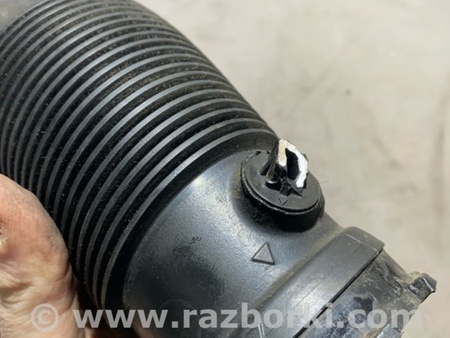 ФОТО Патрубок интеркулера для Audi (Ауди) A4 V B9 - 8W (2015-) Київ