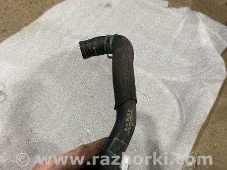 ФОТО Патрубок системы охлаждения для Audi (Ауди) A4 V B9 - 8W (2015-) Київ