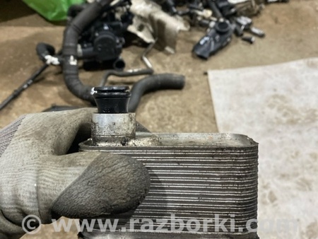 ФОТО Радиатор масляный для Audi (Ауди) A4 V B9 - 8W (2015-) Київ