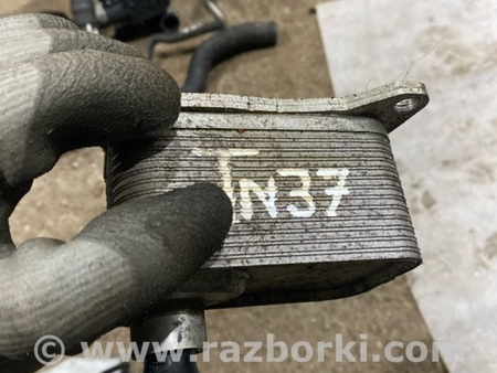 ФОТО Радиатор масляный для Audi (Ауди) A4 V B9 - 8W (2015-) Київ