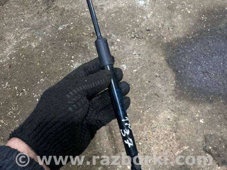 ФОТО Амортизатор капота для Audi (Ауди) A4 V B9 - 8W (2015-) Київ