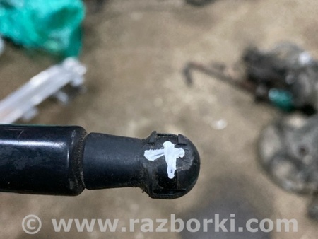 ФОТО Амортизатор капота для Audi (Ауди) A4 V B9 - 8W (2015-) Київ