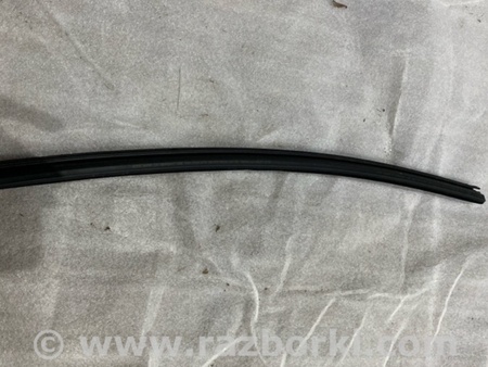 ФОТО Уплотнитель стекла двери для Audi (Ауди) A4 V B9 - 8W (2015-) Київ