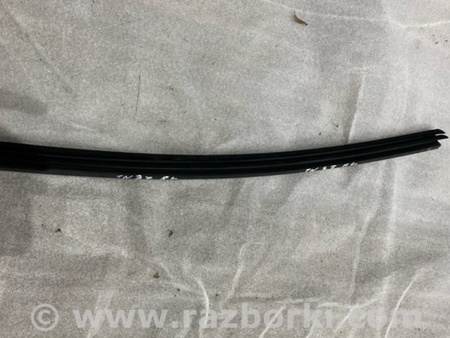 ФОТО Уплотнитель стекла двери для Audi (Ауди) A4 V B9 - 8W (2015-) Київ