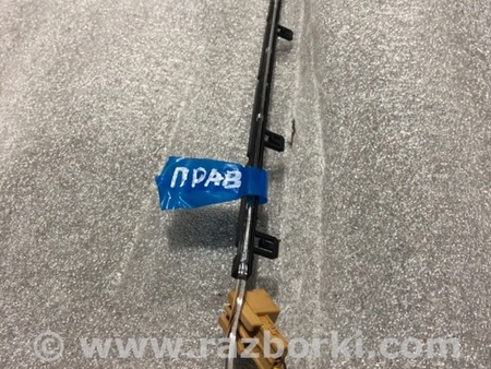 ФОТО Планка подсветки для Audi (Ауди) A4 V B9 - 8W (2015-) Київ