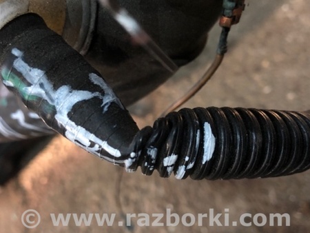 ФОТО Бак топливный для Audi (Ауди) A4 V B9 - 8W (2015-) Київ