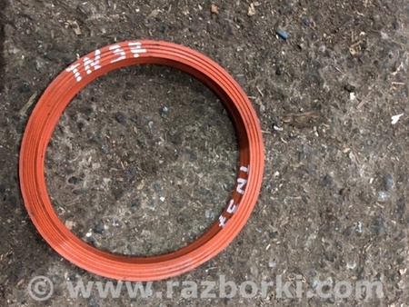 ФОТО Уплотнительная резинка для Audi (Ауди) A4 V B9 - 8W (2015-) Київ