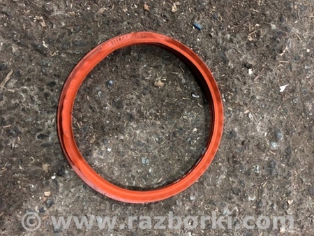 ФОТО Уплотнительная резинка для Audi (Ауди) A4 V B9 - 8W (2015-) Київ