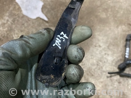 ФОТО Пластик для Audi (Ауди) A4 V B9 - 8W (2015-) Київ