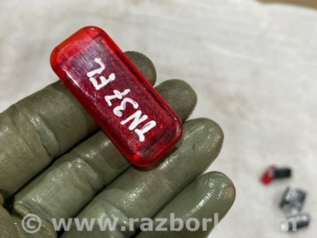 ФОТО Катафот для Audi (Ауди) A4 V B9 - 8W (2015-) Київ