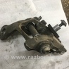 ФОТО Цапфа задняя для Audi (Ауди) A4 IV B8 8K (07-15) Київ
