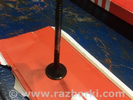 ФОТО Клапан выпускной для Audi (Ауди) A4 IV B8 8K (07-15) Київ