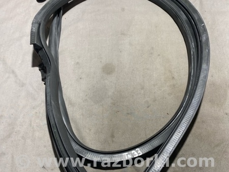 ФОТО Уплотнительная резинка для Audi (Ауди) A5 F5 B9 (16-24) Київ