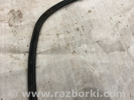 ФОТО Уплотнительная резинка для Audi (Ауди) A5 F5 B9 (16-24) Київ