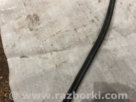 ФОТО Уплотнительная резинка для Audi (Ауди) A5 F5 B9 (16-24) Київ