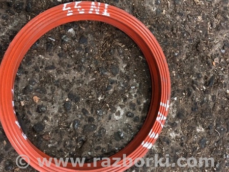 ФОТО Уплотнительная резинка для Audi (Ауди) A5 F5 B9 (16-24) Київ