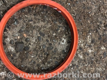 ФОТО Уплотнительная резинка для Audi (Ауди) A5 F5 B9 (16-24) Київ