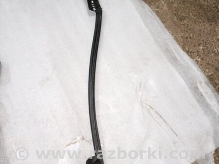 ФОТО Уплотнительная резинка боковой двери для Audi (Ауди) A5 F5 B9 (16-24) Київ