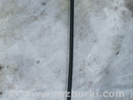 ФОТО Молдинг двери для Audi (Ауди) A5 F5 B9 (16-24) Київ