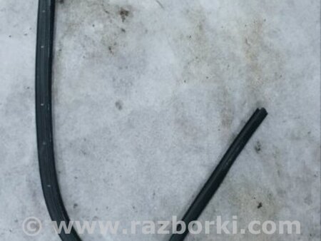 ФОТО Уплотнитель стекла двери для Audi (Ауди) A5 F5 B9 (16-24) Київ